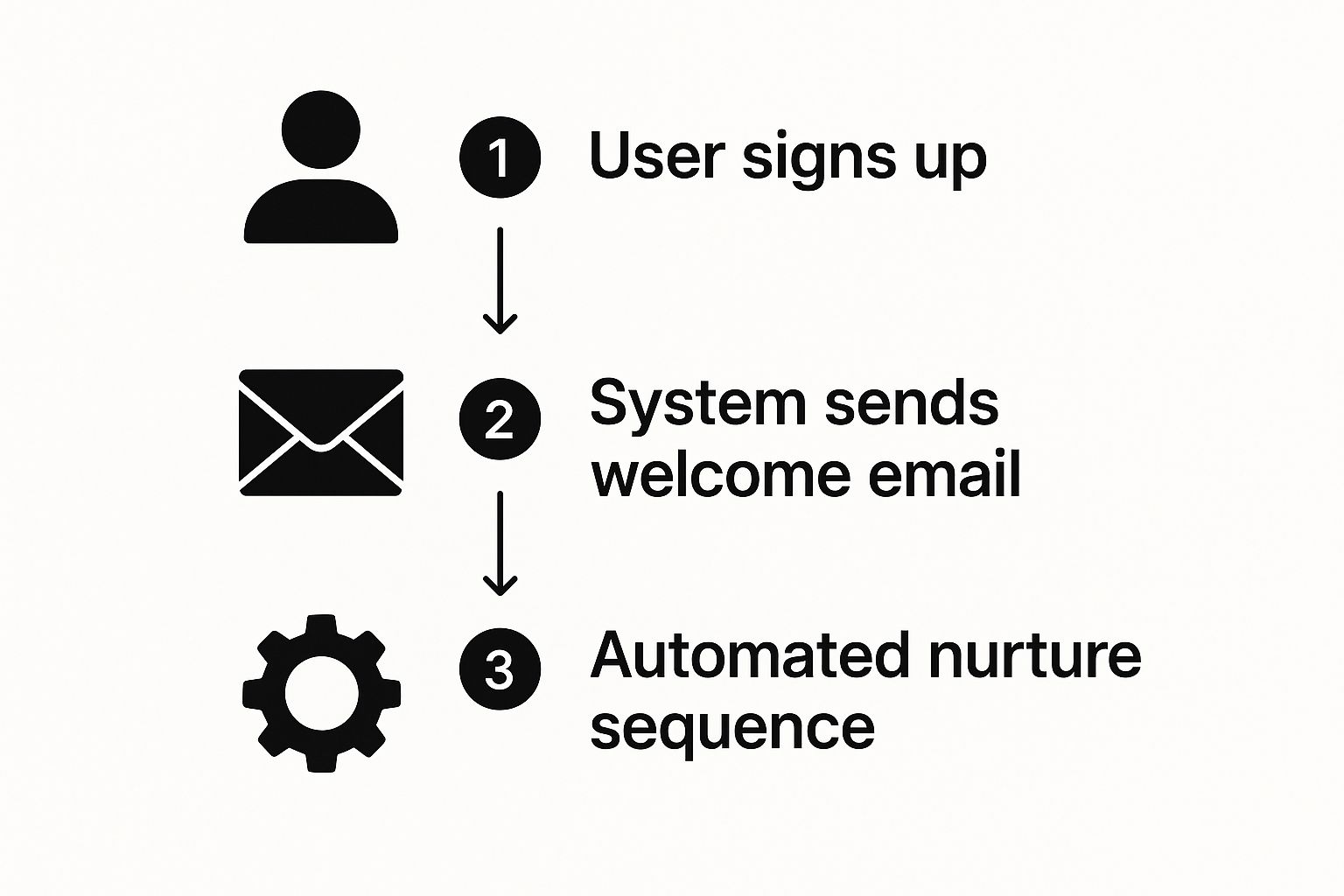 Build Your Ecommerce Email Marketing Strategy