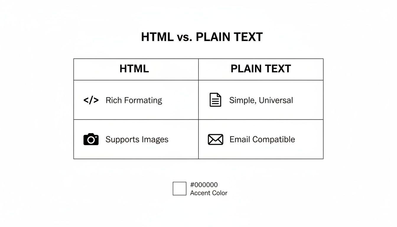 Email HTML vs Text A Shopify Merchant's Guide