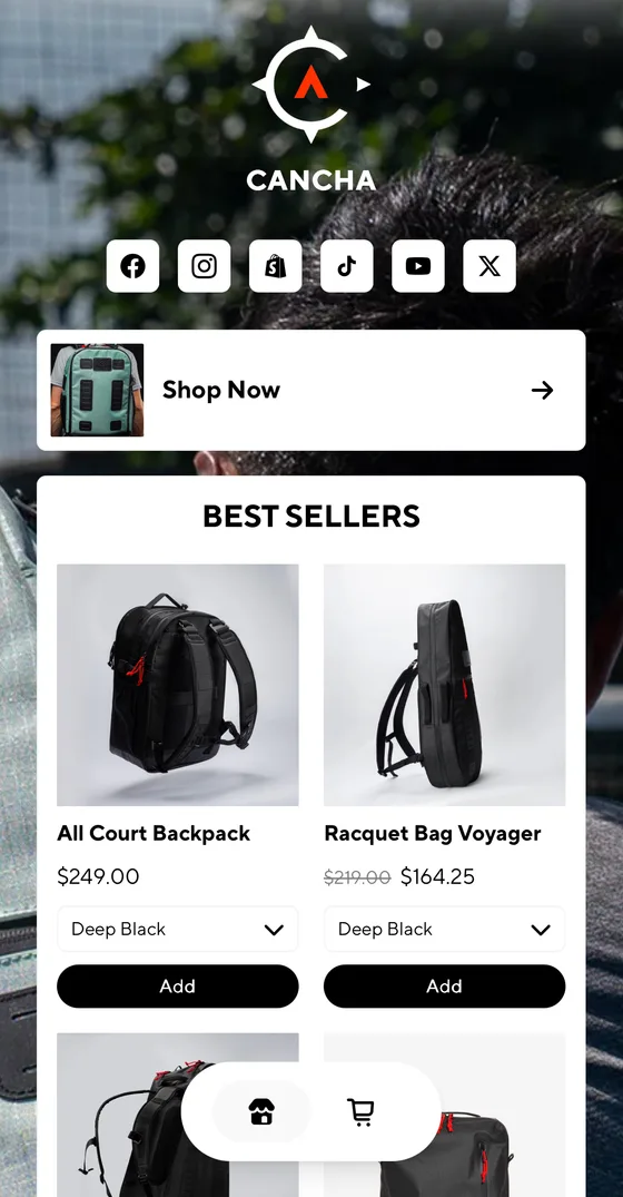 A LinkShop page, example 3